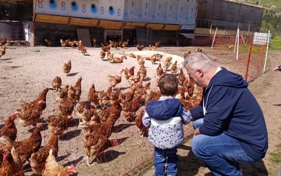 Naši mališani u posjeti farmi „Pašnjak“: Dan ispunjen prirodom i osmijesima